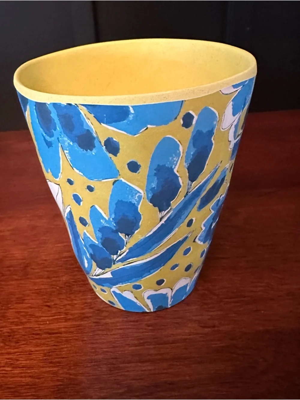 Vera for Anthropologie Periwinkle Bamboo Melamine Pitcher, 2 Plates and Tumbler